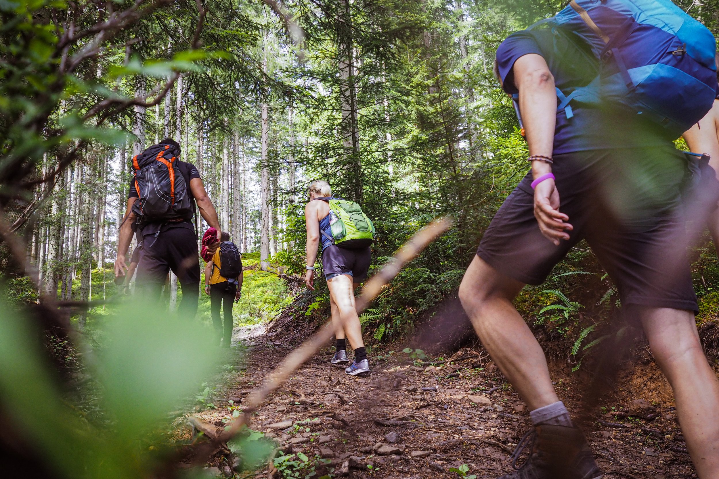 Backpacking catskills deals